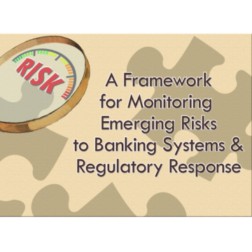 Emerging Risk Framework for Banking Systems, Regulatory Response