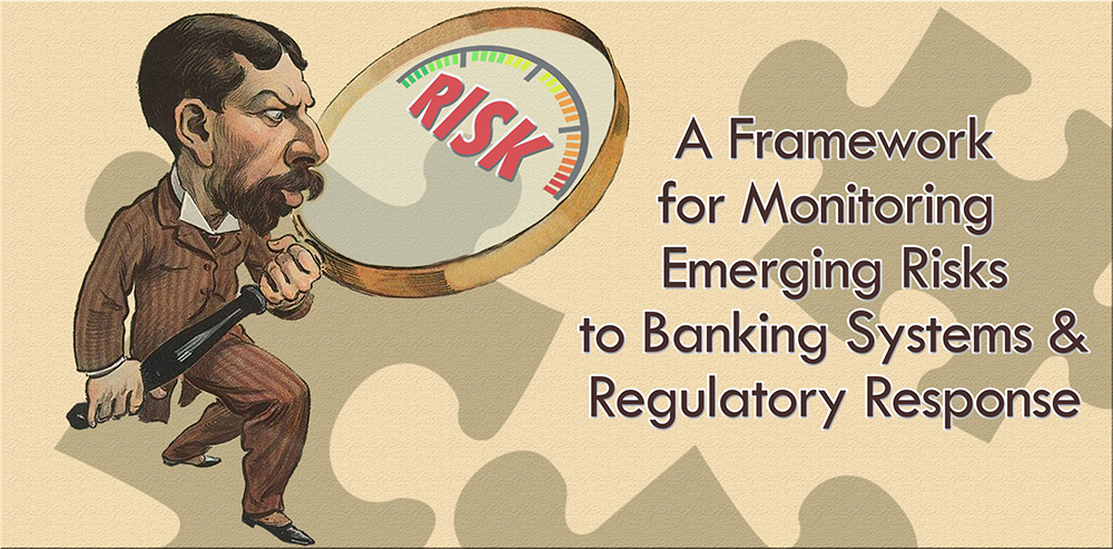 WGFMRR Risk Framework