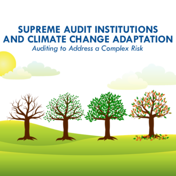 SAIs and Climate Change Adaptation