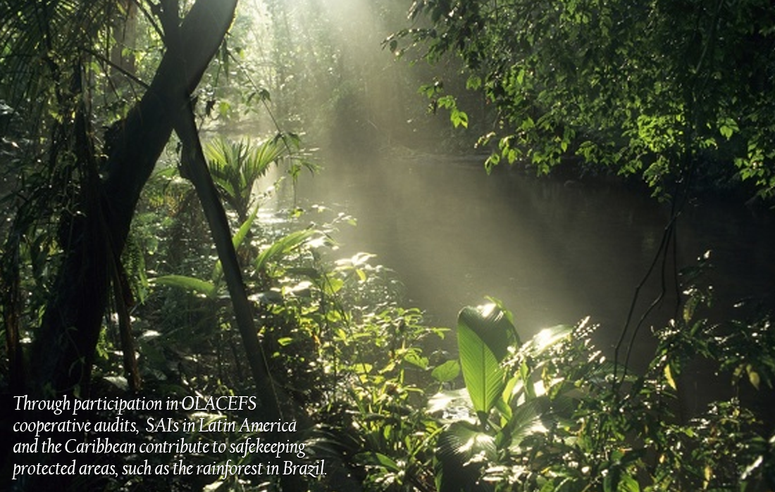 Spotlight on Capacity_OLACEFS Protecting Rainforest