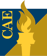 Center for Audit Excellence (CAE)