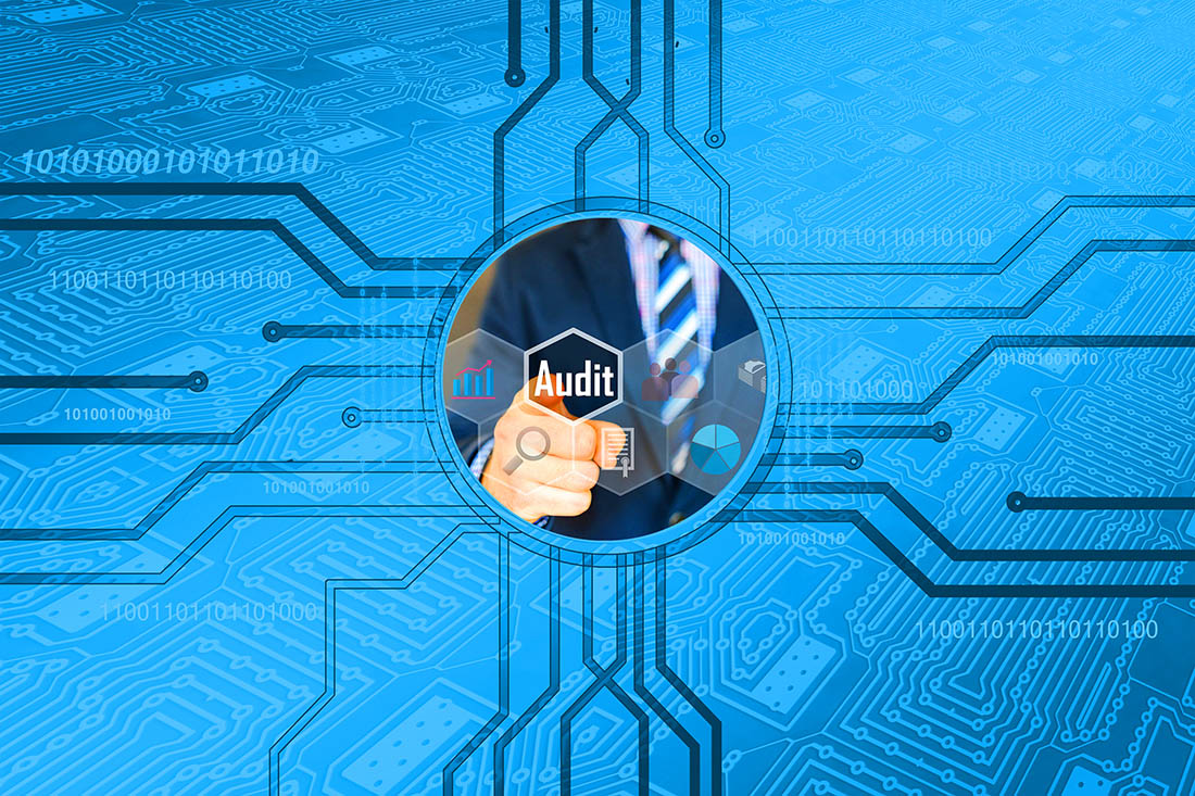 AI and Audit Work_For Web