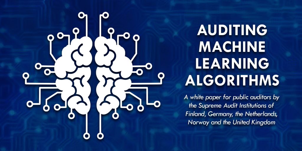 Auditing Machine Learning Algorithms