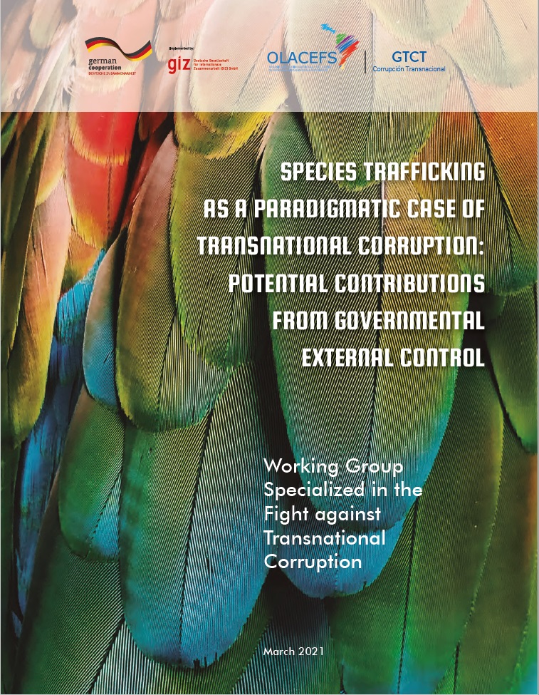 OLACEFS Anti-Corruption Working Group report cover