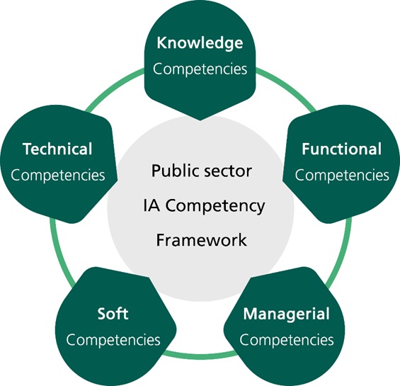 Figure 4: Public Sector Internal Auditor (IA) Competency Framework