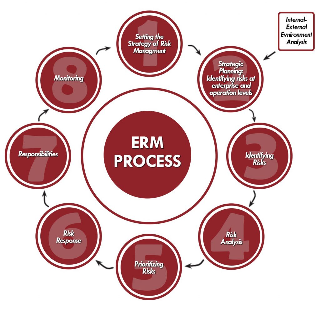 SAI Turkey ERM process