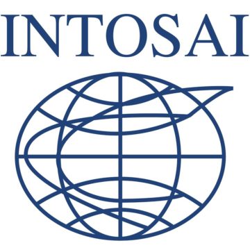 What Does Success for INTOSAI Look Like?