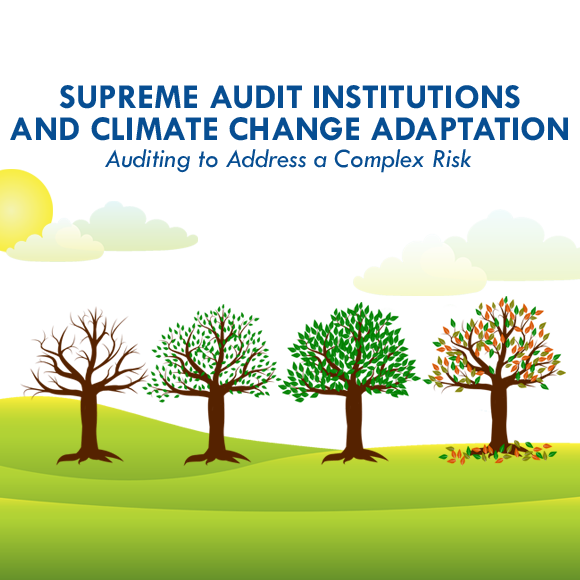 SAIs and Climate Change Adaptation