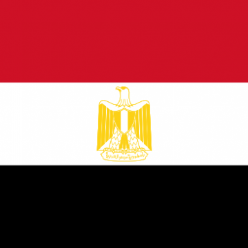 SAI Egypt Contributes to Global Anti-Corruption Initatives,