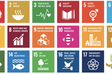 UN SDGs and SAI Slovenia