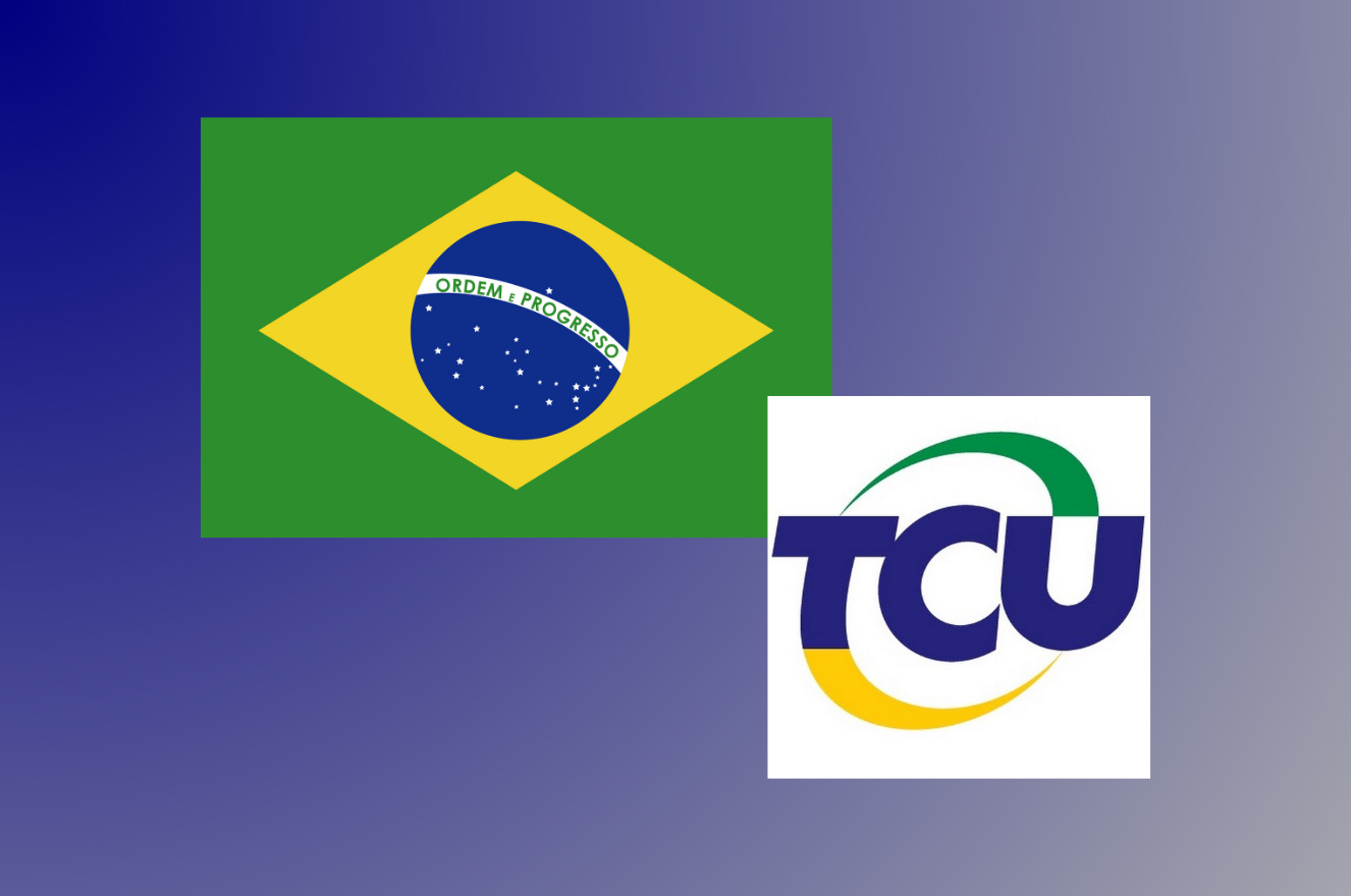 The Professional Trajectory of the Judicial Function A Case Study from