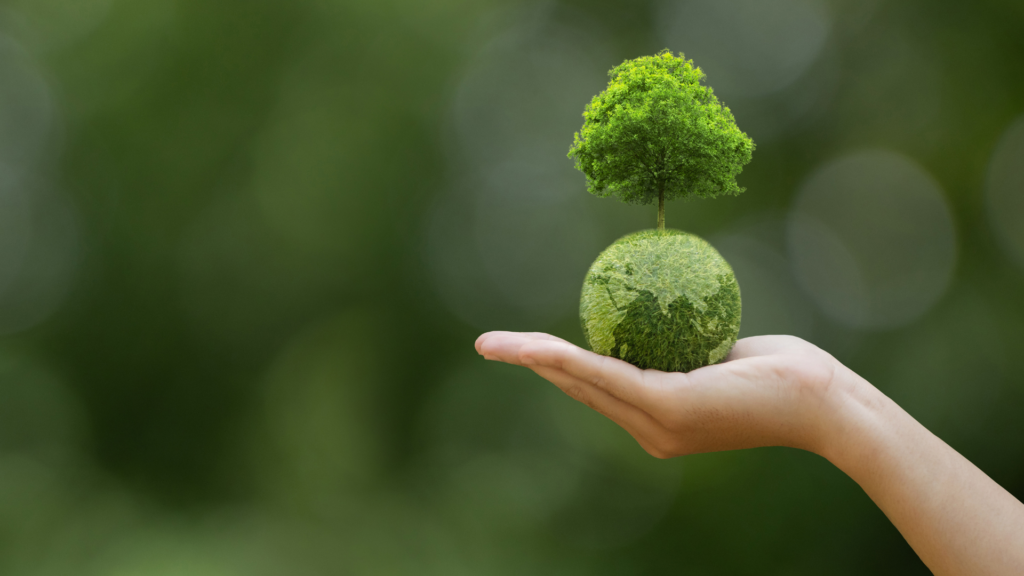 A Holistic Approach to Auditing Climate Change Matters - INTOSAI Journal