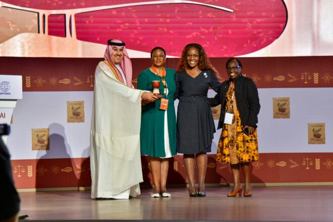 INCOSAI 25 Kimi Makwetu Award Ceremony